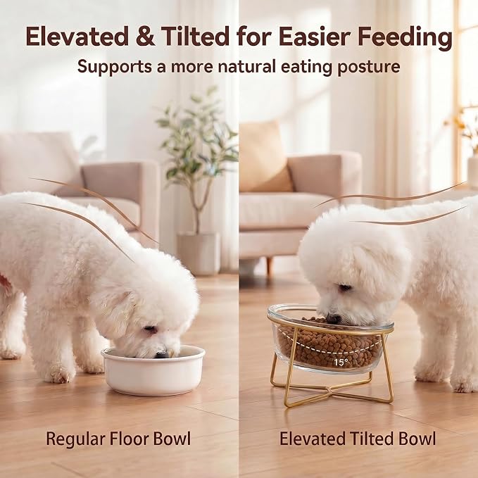 Large Glass Tilted Elevated Cat Dog Bowl Raised Cat Food Water Bowl Dish Pet Comfort Feeding Bowls with Gold Iron Stand