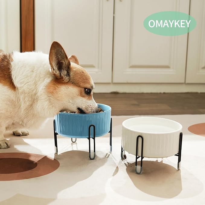 32 OZ Ceramic Dog Bowls with Metal Stand, 6.5 Inch Elevated Cat Bowl Set | Raised Pet Food Water Dish, 2 Heights, for Cats & Dogs, Prevent Neck Fatigue, Light Green