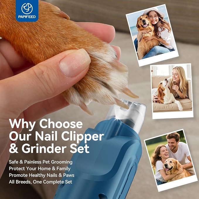 PAPIFFEED 6 Speed Pet Nail Grinder with Dual LED Lights, Rechargeable Dog Nail Trimmer with Dust Proof Cover, Type-C Charging Powerful Torque Pet Nail Clipper for Small Medium Large Dogs Cats(Blue)