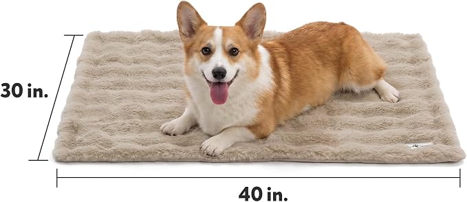 Paw Inspired Waterproof Dog Blanket, Soft Faux Fur Throw with Fur-Resistant Fleece, Washable Pet Blanket, Waterproof Protection for Couch, Bed, Furniture, Crate, Car (40x30, Tan)