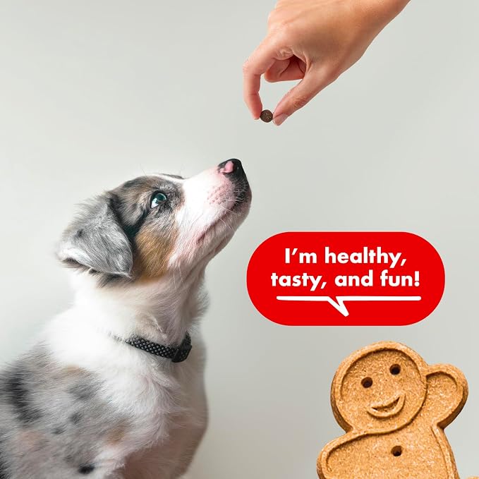 Buddy Biscuits Trainers Training Bites Soft & Chewy Dog Treats, Beef, 10 oz. Pouch | Soft & chewy training bites for dogs, beef flavor, 10 oz. pouch, ideal for training sessions, 1.5 calorie