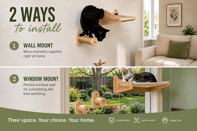Cat Window Perch for Indoor Cats – 2-in-1 Solid Wood Cat Hammock Window Seat & Wall Mount with 9 Suction Cups, Climbing Steps + Hanging Toy – Supports 40 lbs, Bird Watching & Sunbathing
