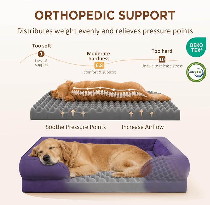 Comfort Expression Orthopedic Dog Bed for Medium Size Dog with Bolster | Waterproof Dog Couch Bed with Washable Cover & Non-Slip Bottom, Supportive Egg Crate Foam Medium Pet Bed, 30x20 Inch