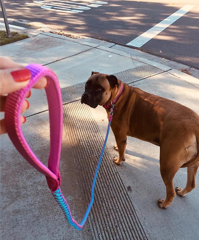 2/3/4/6/10 Foot Reflective Dog Leash Strong Nylon Rope Braided Heavy Duty for Large Medium Small Dogs Walking Training Leads (Pink, 10ft * 1/2")