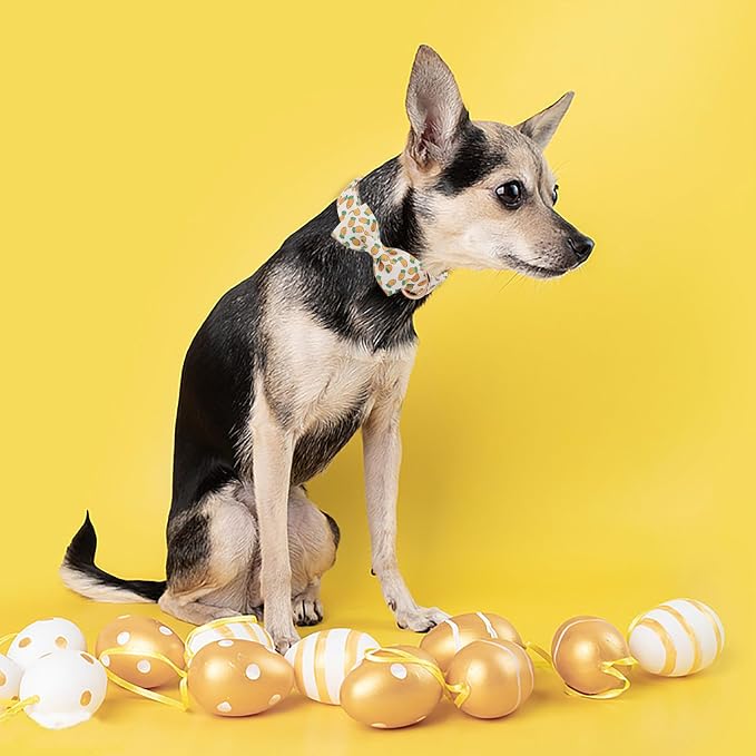 ·MR. CHUBBYFACE· Easter Dog Collar with Bowtie, Cute Carrot Easter Dog Collar with Metal Buckle,Adjustable Soft Pet Collar for Small Medium Large Dogs
