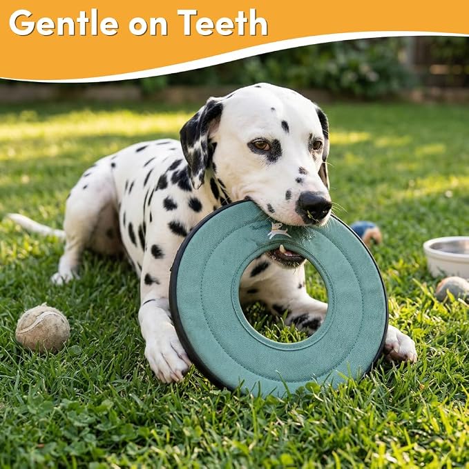 OllyDog Super Flyer Dog Flying Disc – Floating Fetch Toy for Water Play, Soft Eco-Friendly Recycled Fabric, Gentle on Teeth, 11" for Medium & Large Dogs (Surf, 11")