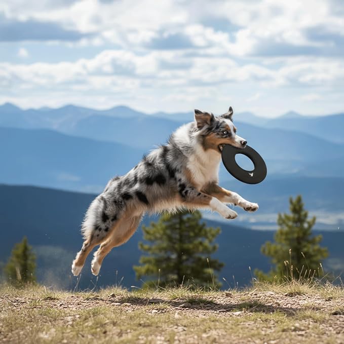OllyDog Mini Super Flyer, Dog Flying Disc – Floating Fetch Toy, Soft on Teeth, Eco-Friendly Recycled Material, Lightweight, for Small & Medium Dogs (Raven, 9")