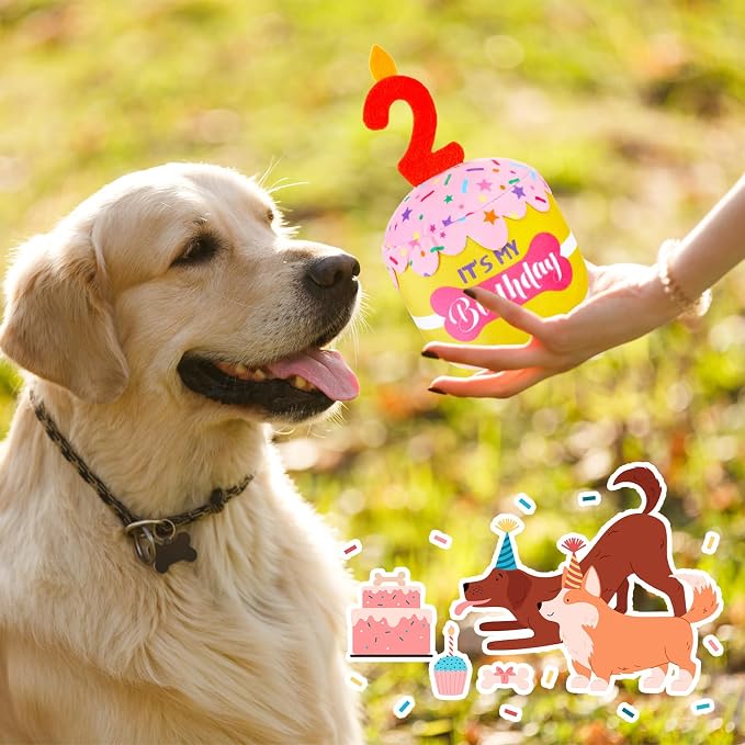 Dansydaisy Dog Birthday Cake Toy Squeaky Plush Toy for Girl Boy Gifts, Chew Accessories for Dog Birthday Party Decor Favor for Large, Medium and Small Dogs(2nd,Pink and Yellow)