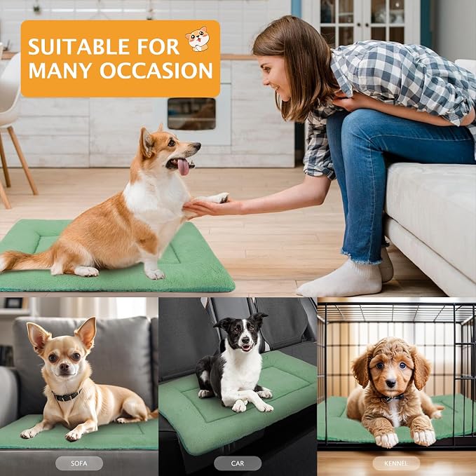 Reversible Dog Bed Mat with Plush and Corn Velvet,Soft Warm Pet Cushion, Dual Purpose Washable Sleeping Mattress Bed for Small Medium Large Dog and Cat XB004 (36"x23", Teal)