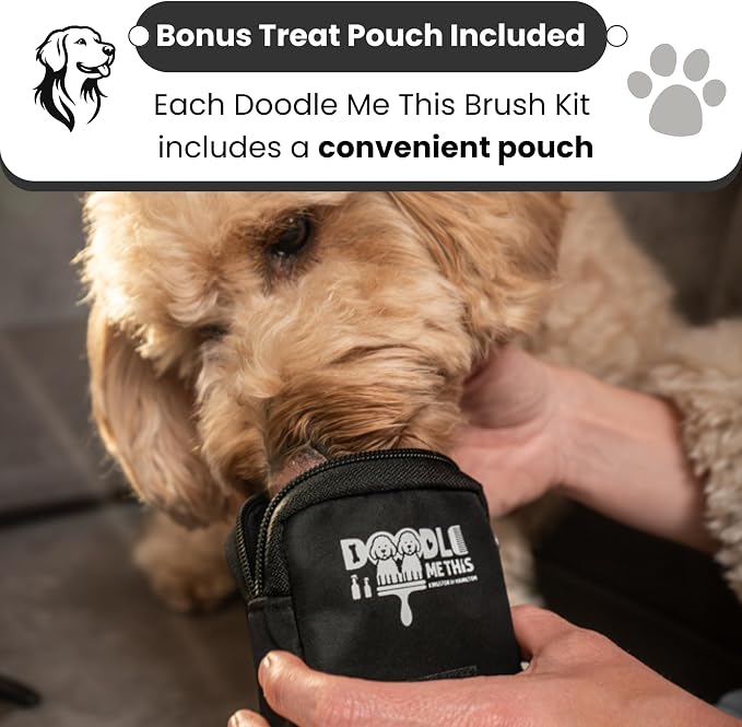 Slicker Dog Brush - Detangle - Large, Black