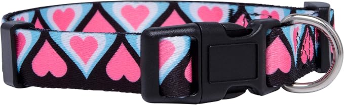 Native Pup Valentine’s Dog Collar- Valentines Day Pet Collars- Valentine Girly Hearts- Pink Red Heart- Cute Boy Girl Puppy Gift- Adjustable for Small, Medium, Large Breeds (Blue & Pink Hearts, Small)