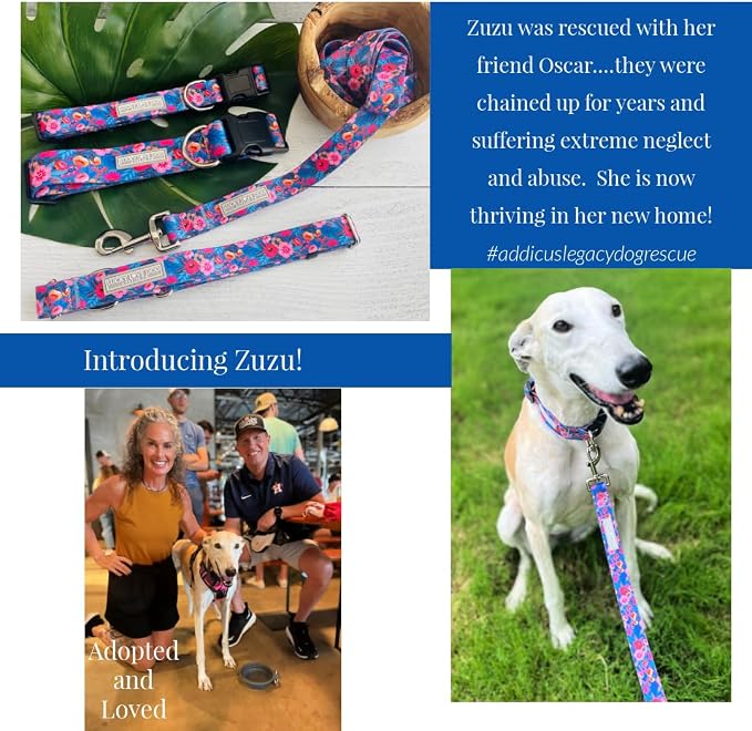 Lucky Love Dog - Easy Click Buckle Dog Collar with Leash Set Combo, Durable & Comfortable for Male & Female Dogs, Pet Collar for Large Dogs, Secure Fit - Zuzu Combo, XL