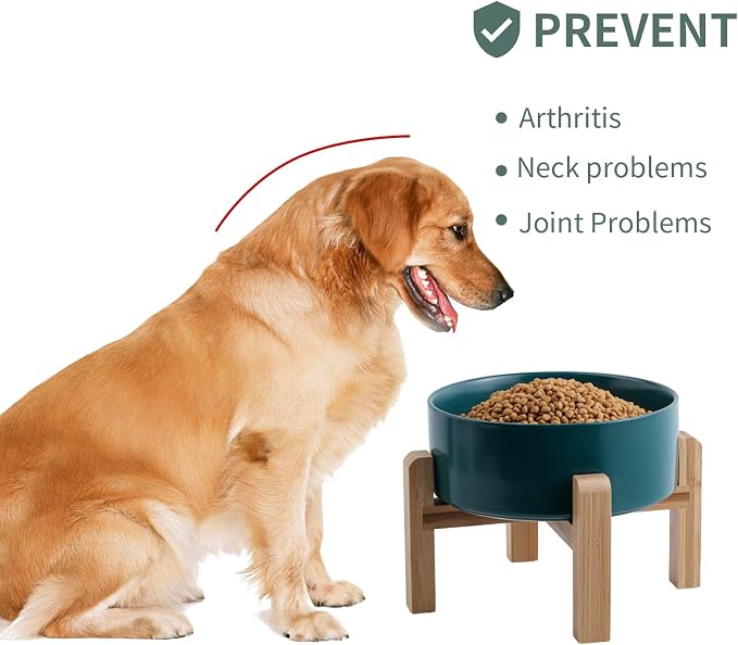 Green Raised/Elevated Ceramic Dog Bowl for Small Medium Sized Breeds,Dog Food Water Bowl with Stand,6 in Non Slip Heavy Pet Feeding Dish 3.6 Cups/ 850 ml /28 OZ