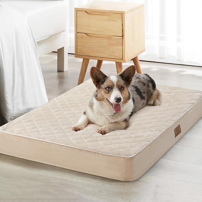WNPETHOME Orthopedic Giant Human Dog Beds for Adult & Dog Cozy Sleep | Human Washable Waterproof Dogs Bed with Removable Cover, Multi-Needle Quilting Dogs Crate Bed for Relax , Beige 61x43 Inch