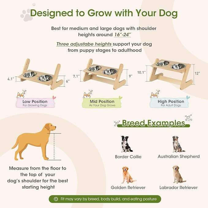 Solid Birch Wood Elevated Dog Bowl Stand for Large & Medium Dogs | Raised Dog Bowl Stand, 3 Heights, 10° Angled Top, Water-Resistant Finish, 2 Stainless Bowls, 8" Openings