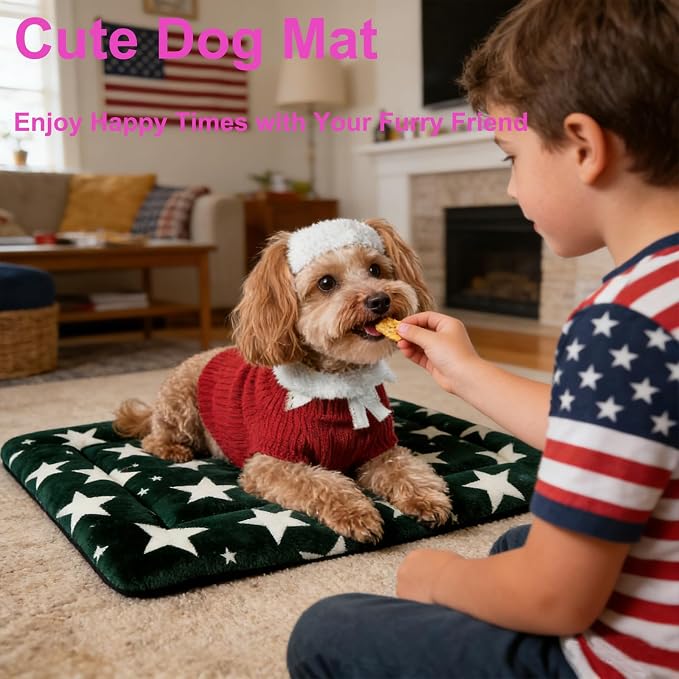Dog Bed Mat, Reversible Dog Crate Pad with Washable Kennel Mat and Soft Foam, Pet Bed for Dogs & Cats, for Crates Carriers & Travel (Big&Small Stars Green, 24" L*18" W*1.5" Th)