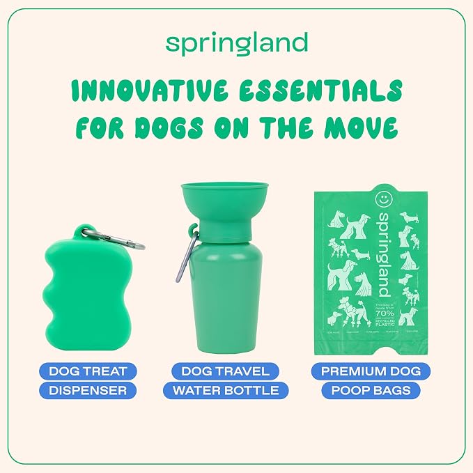Springland Silicone Dog Training Treat Pouch for Leash, Green | One-hand squeeze dispenser, food-grade silicone, BPA-free, carabiner included, easy-fill holder for rewards on the go