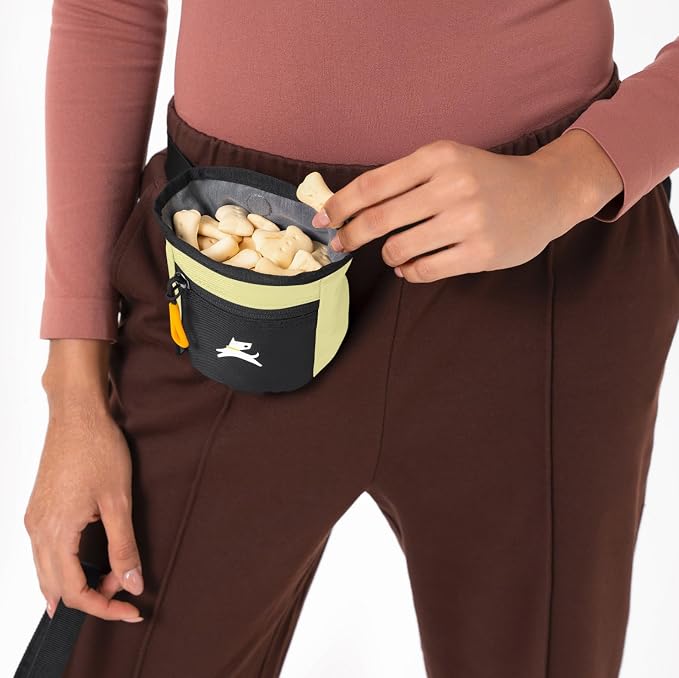 Goodie Treat Bag, Dog Treat Training Pouch | Magnetic Closure | 3 Ways to Wear | Hands-Free Waist Belt | Water-Resistant Recycled Vegan Fabric (Sol)