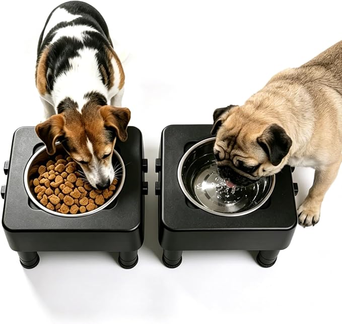 Elevated Dog Bowl Stand, Raised Dog Feeder with Adjustable Height 3.4" to 13.4", Non-Slip Pet Feeding Station Includes 2×27oz Stainless Steel Bowls for Small & Medium Dogs