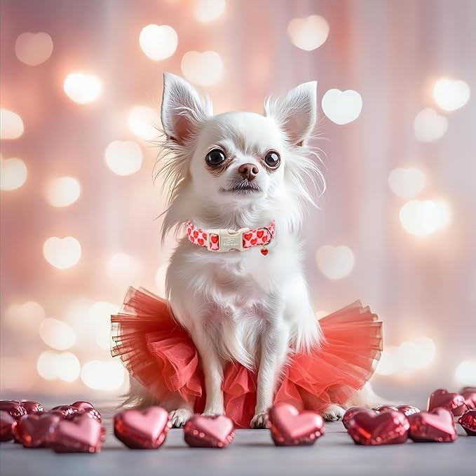 Valentines Dog Collar for Medium Dogs - Valentine Red Conversation Hearts Dog Collars, Love Boy Girl Dogs Collars, Lightweight Adjustable Cute Puppy Collar with Quick-Release Buckle M