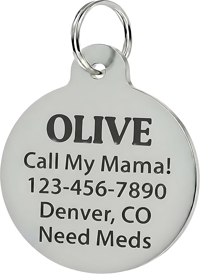 Bad Tags Personalized Dog and Cat ID Tags in 25+ Designs and 2 Sizes - 5 Lines of Custom Engraved Text - Funny Cute Personalized Pet Tags (Quit Trying to Make Fetch Happen, Small (1 inch))