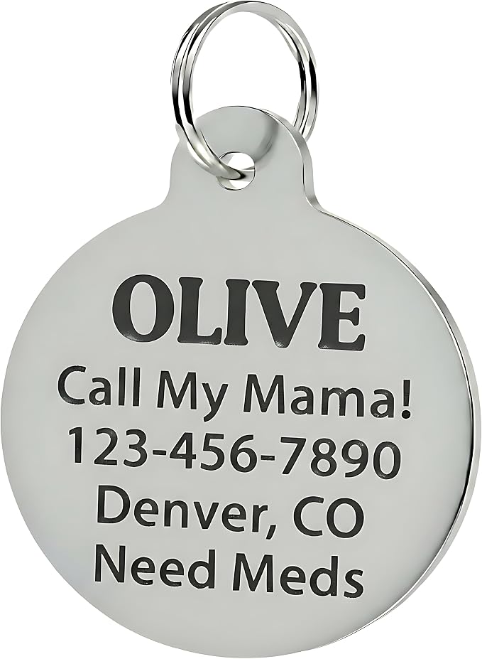 Bad Tags Personalized Dog and Cat ID Tags in 25+ Designs and 2 Sizes - 5 Lines of Custom Engraved Text - Funny Cute Personalized Pet Tags (I was Rescued, Small (1 inch))
