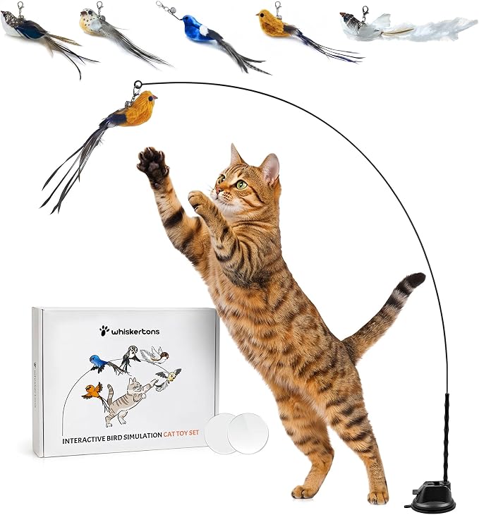 Whiskertons Interactive Bird Simulation Cat Toy Set, Interactive Cat Toys for Indoor Cats, Cat Feather Toy, Self-Holding Suction Base, 5 Replacement Birds, Feathers & Bells, Realistic Bird Impression