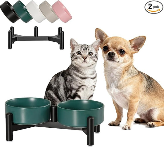 Raised Ceramic Dog Bowl Set - Elevated Double Dishes with Stainless Steel Stand - Food and Water Bowls for Small Dogs and Indoor Cats - Each Holds 1.6 Cups (10.8 fl oz) - Green