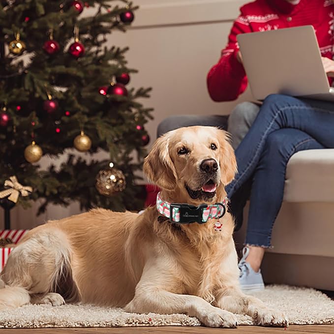 ARING PET Christmas Dog Collar, Cute Green Santa Claus Adjustable Xmas Pet Collars Puppy Collar with Quick Release Buckle for Girl&Boy Dogs-S