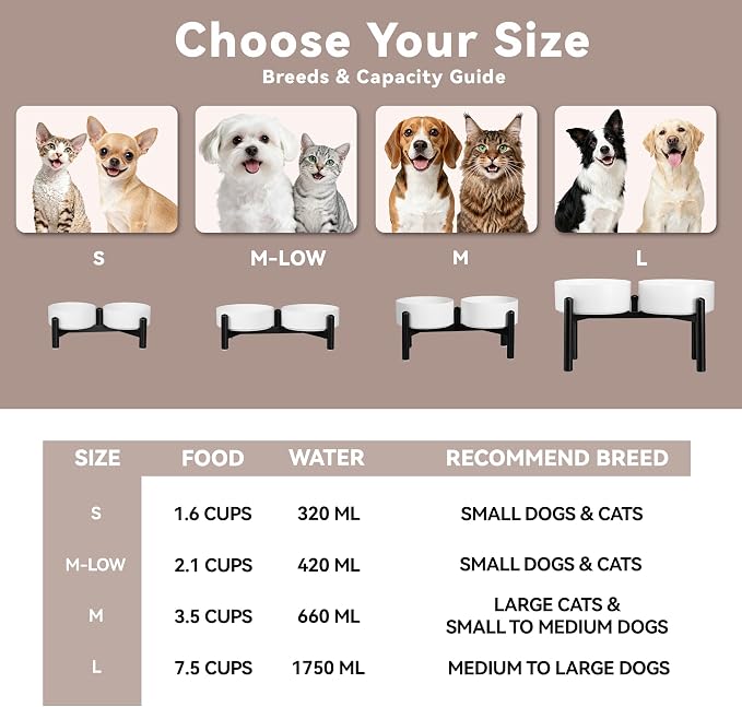 Dog Bowls Elevated - Ceramic Raised Dog Bowl with Non Slip Steel Stainless Stand - No Spill and Heated Feeding Station - Food and Water Dish Set for Medium to Large Pet - Each Holds 7.5 Cups – White