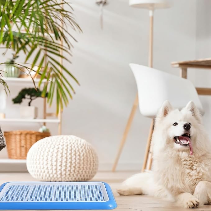 Mifoci 2 Pcs Dog Potty Tray Mesh Puppy Training Pad Holder Floor Protection Portable Pee Pad Pet Toilet Training Tray Litter Box Corner for Medium and Large Dogs (19.7 x 14.2 Inch,Blue)