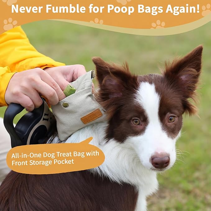 Dog Treat Pouch for Pet Training, Carabiner & Magnetic Buckle, Grey | Hand Free Dog Training Treat Bag, Auto Closing Dog Walking Bag for Puppy Travel or Outdoor Use, Pet Feed Snack Reward Pocket