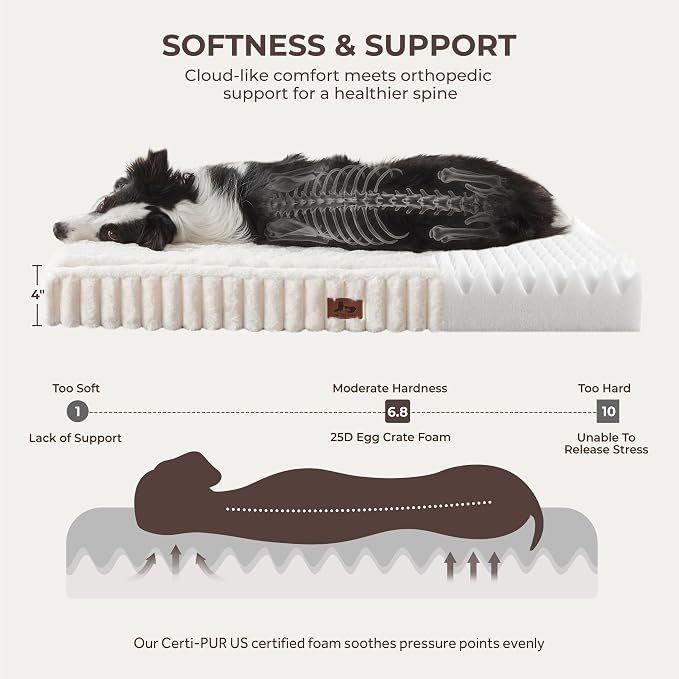 Dog Bed XL Sized for Crate, Orthopedic Pet Pad for Dogs with Removable Washable Cover, Waterproof Dogs Beds Up to 100 lbs, Soft Plush Surface & Egg Foam for Calming, 41x27x4 Inch, Cream