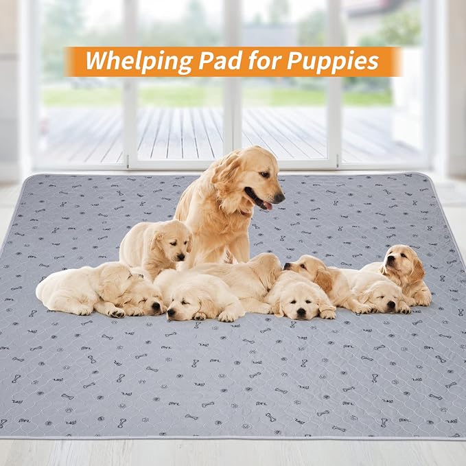 PICK FOR LIFE Washable Dog Pee Pad 72x72 Extra Large, Fast Absorbent Puppy Pads, Reusable Dog Training Pads Waterproof,Non-Slip Whelping Pad for Pet, Playpen, Incontinence, Housebreaking | Reusable, Waterproof,Non-Slip Whelping Pad for Dog Training, Pe...