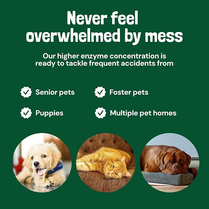 Sunny & Honey Turbo Pet Stain and Odor Remover for Carpets, 32fl oz Mint | USA Made - Enzyme Cleaner for Dog Urine & Poop - Eliminates Set In Stains - Color Safe - For Rugs, Furniture & Car Seats