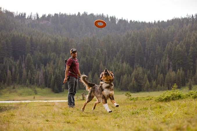 Ruffwear, Hydro Plane Dog Flying Disc, Soft Buoyant Foam Floating Fetch Toy, Lightweight Interactive Water & Snow Toy, Gentle on Teeth, Durable Year-Round Outdoor Play, Tangelo Orange, 9", Medium