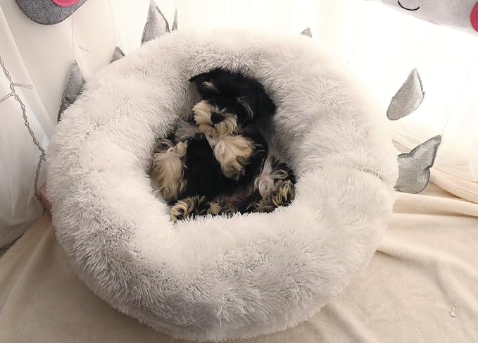 Modern Soft Plush Round Pet Bed for Cats or Small Dogs, Mini Medium Sized Dog Cat Bed Self Warming Autumn Winter Indoor Snooze Sleeping Cozy Kitty Teddy Kennel (20” D x 8'' H, White)