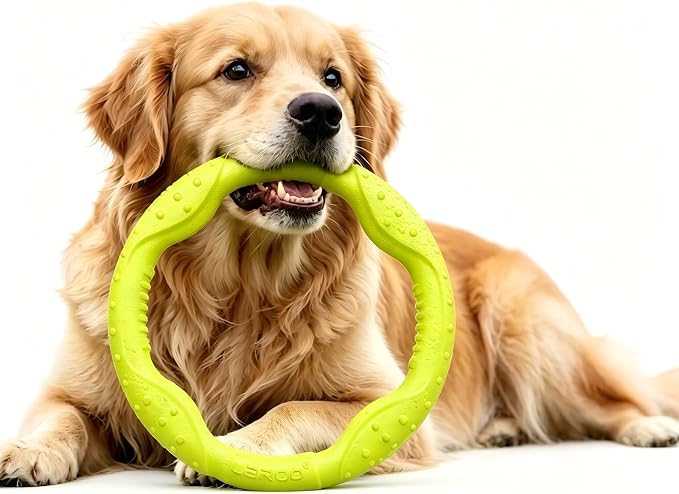 LaRoo Dog Ring Toy, Durable Soft Flying Disc for Throwing Catching Grabbing, Water Floating Dog Training Fetch Ring for Medium Large Breeds, Outdoor (Green/11.8Inch)