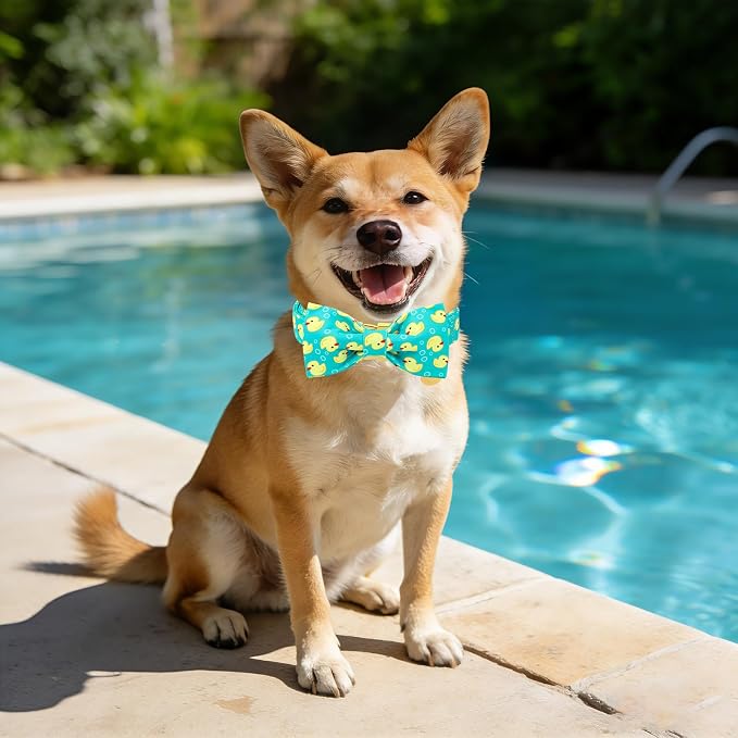Duck Dog Collar for Boy Dogs, Spring Summer Boy Dog Collar with Bowtie- Adjustable Sailor Bow Small Dog Collars for Male Dogs S
