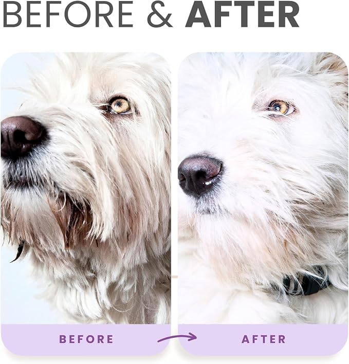 Lillian Ruff Brightening Shampoo & Oatmeal Conditioner Set for Dogs – Safe for Cats - Tear Free Coconut Scent with Aloe for Normal, Dry & Sensitive Skin