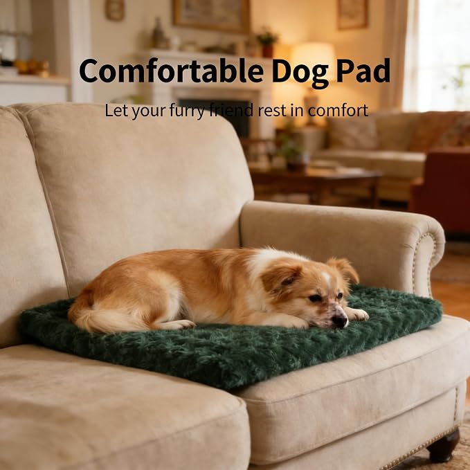Dog Crate Bed Pad – Reversible Fleece Mat for Small, Medium, Large Dogs – Soft & Washable Anti-Slip Dog Bed Mat for Cages and Kennels – Comfortable, Durable Sleeping Pad for Dogs, Green, S