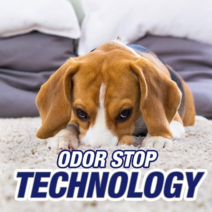Resolve Pet Expert Stain and Odor Remover, Carpet Cleaner, Pet Stain and Odor Remover, Carpet & Upholstery Cleaner - Removes Stains and Odors, 22 oz (pack of 6)