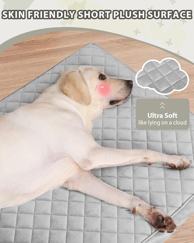 NUPIDA Jumbo Dog Bed for Extra Large Sized Dog Orthopedic Pet Bed with Removable Washable Cover and Non-Slip Bottom, 53x36 Inch, Light Gray