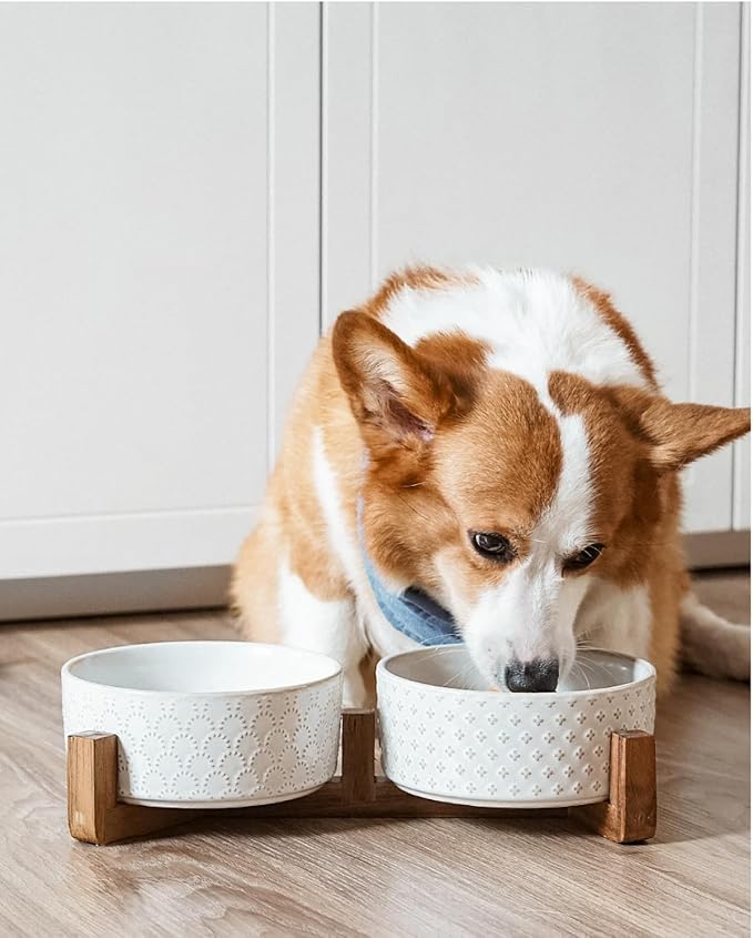 LE TAUCI Dog Bowls Ceramic for Small Medium Dogs - 4-Cup Dual Food & Water Bowl Set with Acacia Wood Stand, Non-Slip Anti-Tip Elevated Design