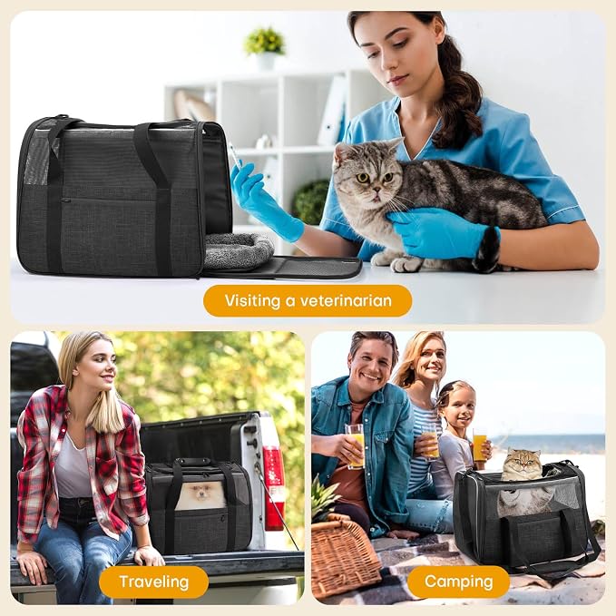 Cat Carrier Soft-Sided for Big Medium Cats, Dog Carriers for Small Dogs, Airline Approved Pet Travel Carrier for Cats Puppies up to 15Lbs with Safety Zippers Foldable Bowl, 17.5x12.4x13.5, Black