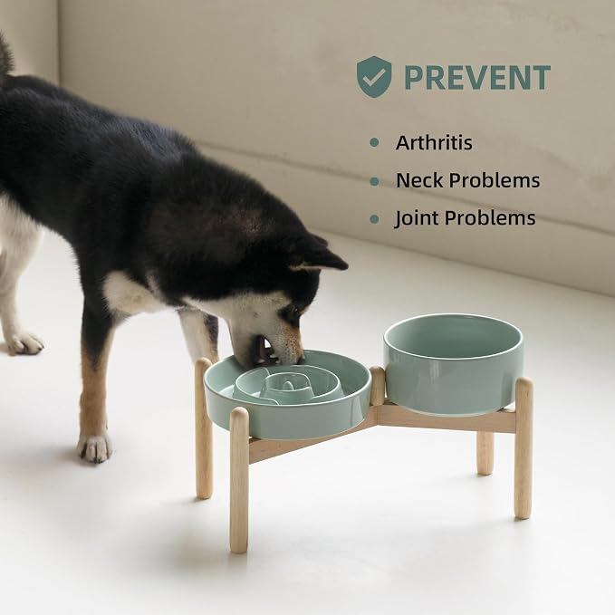 Havniva 7.3” Raised Slow Feeder Dog Bowls Set, 1.2 Cups Ceramic Slow Feeder Dog Bowl and 6.1” Dog Water Bowl with Elevated Wooden Stand Puzzle Dog Food Bowl for Small Dogs Anti-Gulping & Anti-Choking
