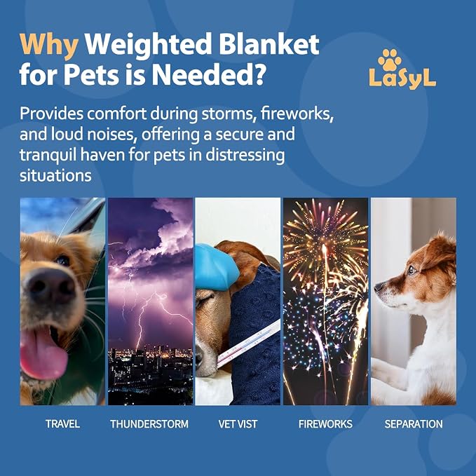 LaSyL Weighted Blanket for Pets | Thunder Blanket for Dogs Anxiety | Premium Soft Minky | Relaxation & Calming & Anti Anxiety | Used in Car, Bed, Couch | Blue Grey Star, Washable Medium (32"x40")