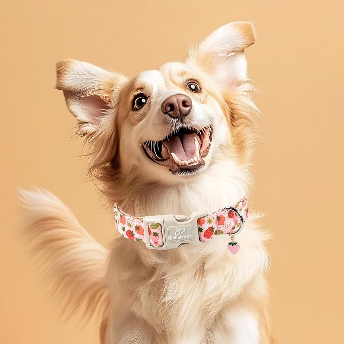Strawberry Dog Collar for Small Dogs - Cute Spring Pink Dog Collars, Summer Pastel Puppy Collars, Soft Adjustable Boy Girl Dogs Collar with Quick-Release Buckle XS