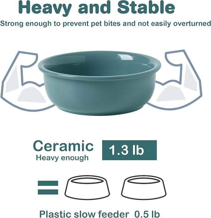 Ceramic Replacement Dog Bowl for Wordcam SS03 Model, 6.9"X2.6", Dark Green | Food and Water Bowl Set, for Small Medium Cats, Pet Feeding Dishes for Dogs 20-35lbs, Thicker Ceramic, Anti-Skid, 28Oz/800ML
