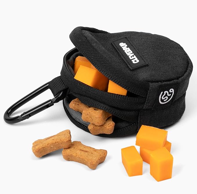 Snackpack Double Insulated Dog Treat Pouch – 1.5 Cup Capacity, 2 BPA-Free Waterproof Zipper Pockets, Carabiner for Belt/Leash – Compact Training & Travel Bag – Graphite